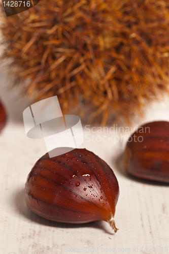 Image of Chestnuts