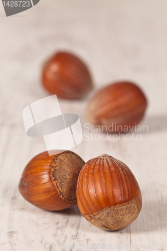 Image of Hazelnuts