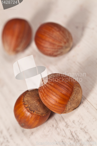 Image of Hazelnuts