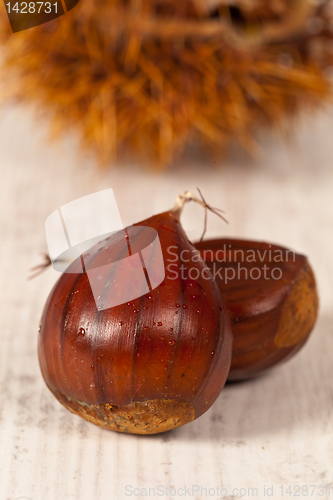 Image of Chestnuts