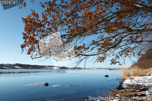 Image of Winter in Kolding