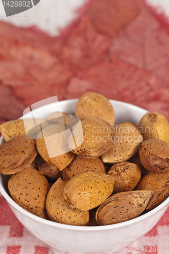 Image of Almond