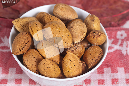 Image of Almond