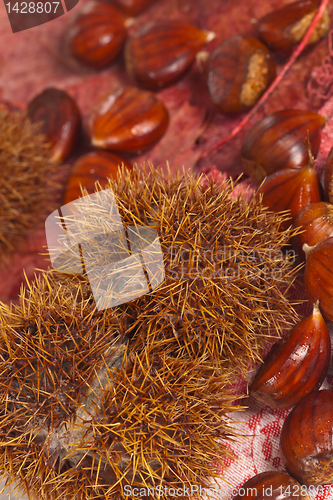 Image of Chestnuts