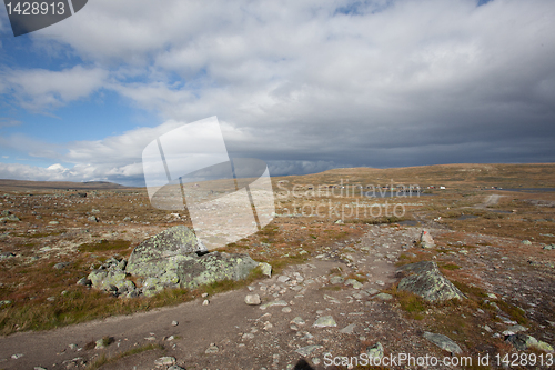 Image of hardangervidda