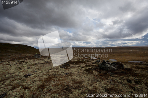 Image of hardangervidda