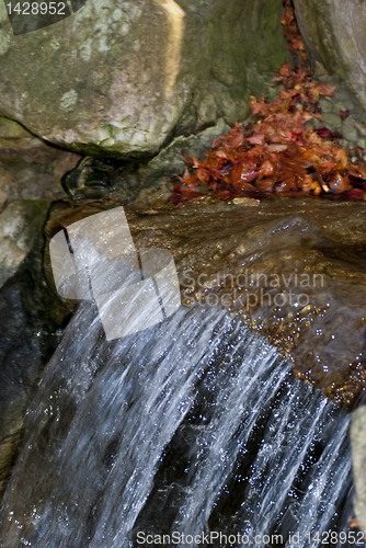 Image of Water Spring