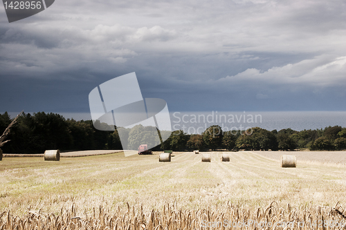 Image of Arable landscape