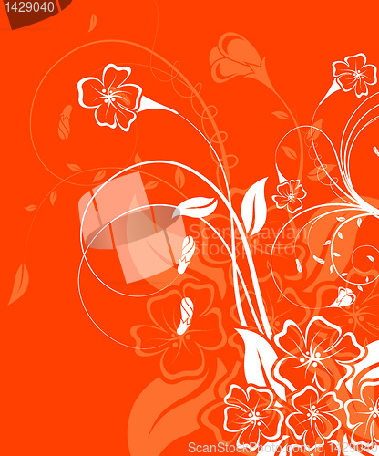Image of Flower background