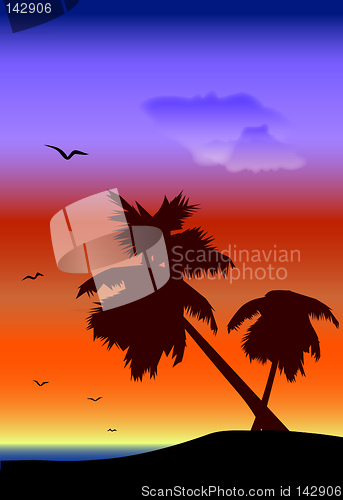 Image of palmtrees landscape