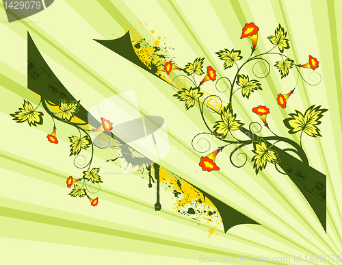 Image of Grunge flower background