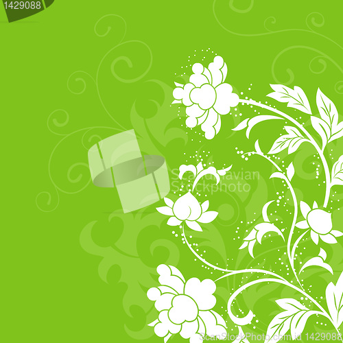 Image of Flower background