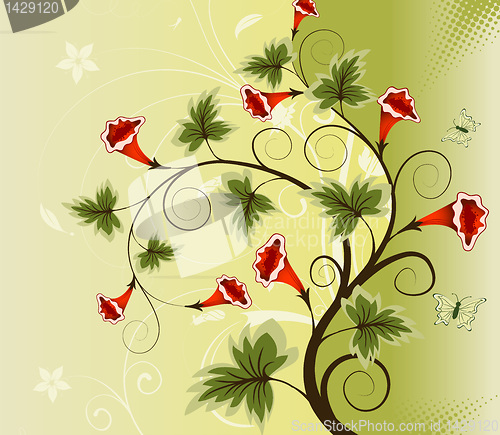 Image of Flower background