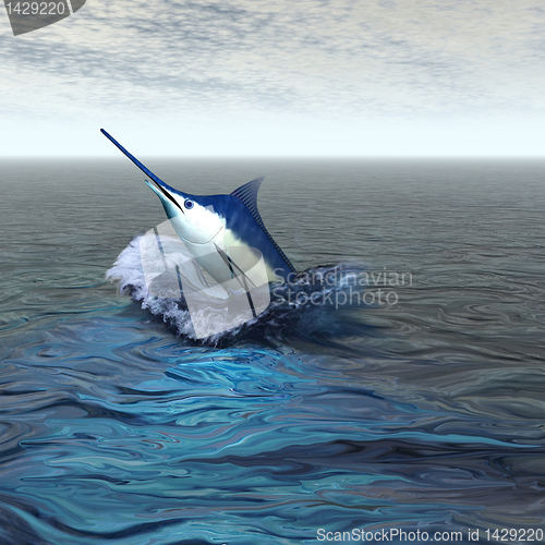 Image of BLUE MARLIN