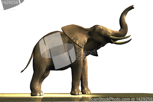 Image of ELEPHANT