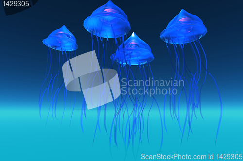 Image of JELLYFISH