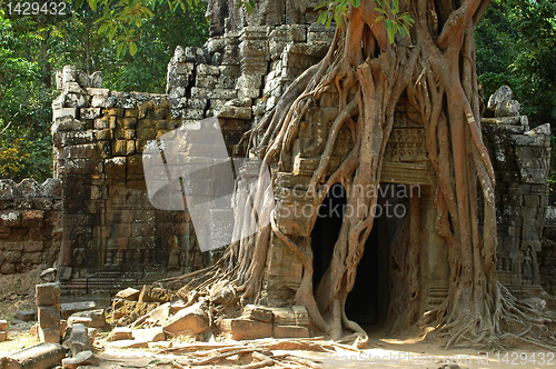 Image of Angkor, Cambodia