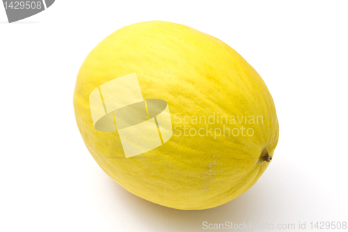 Image of Delicious melon 
