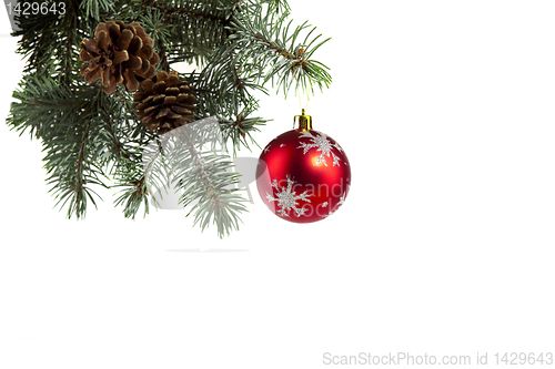 Image of Spruce twigs decorated with a  ball