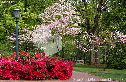 Image of Spring flowering park