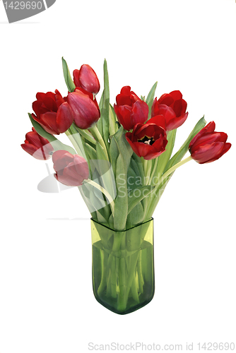 Image of Red Tulips