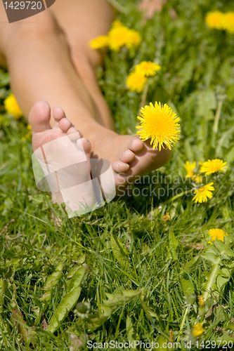 Image of Woman spending summerday