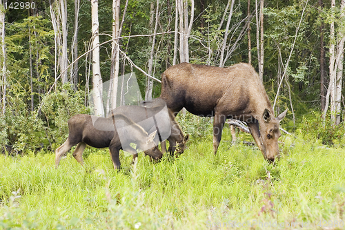 Image of Mother and two kids