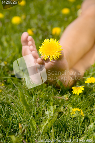 Image of Woman spending summerday