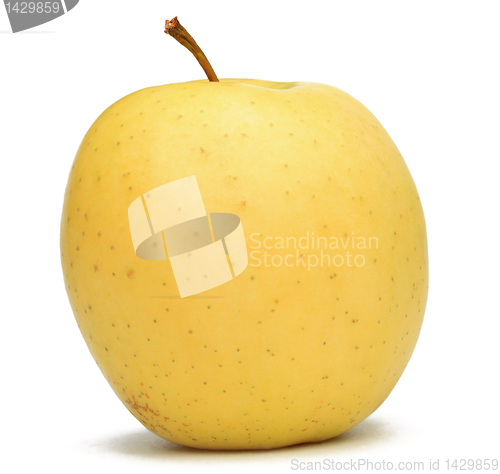 Image of Yellow Apple