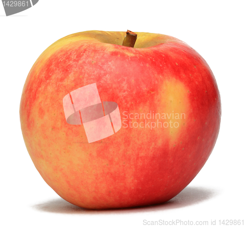 Image of Red Apple