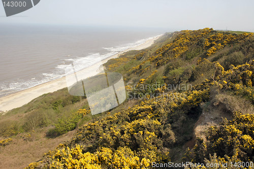 Image of coastal scene