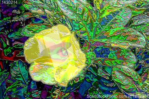 Image of RAZZLE DAZZLE