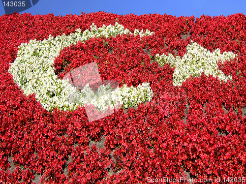 Image of Flag of flowers