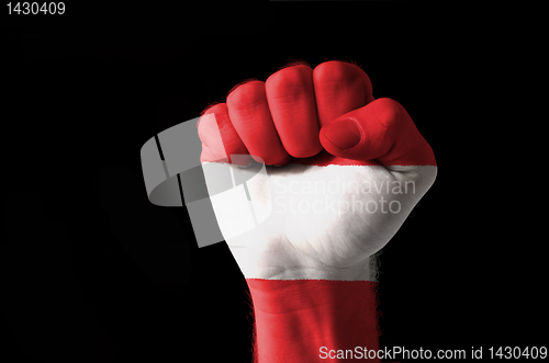 Image of Fist painted in colors of austria flag