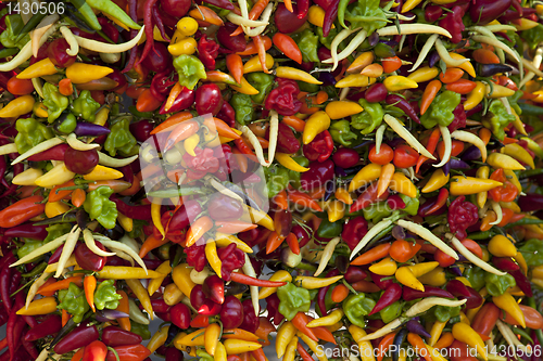 Image of Chilli peppers on market stall