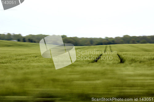 Image of wheat field blur