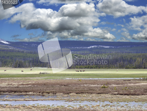 Image of Mountain Landscape