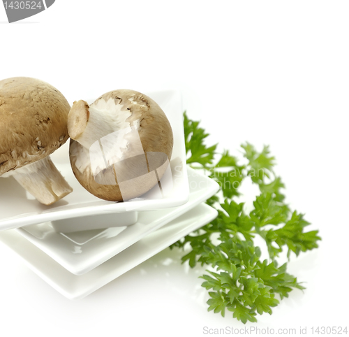 Image of Mushrooms