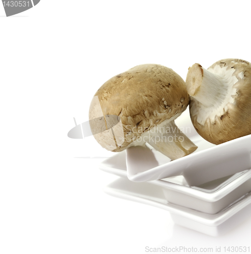 Image of Mushrooms