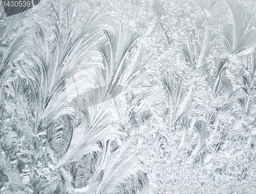 Image of Frozen Window Background 