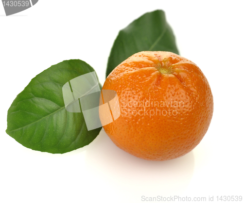 Image of Orange Fruit