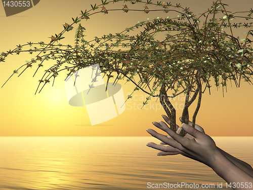 Image of EMBRACE OF LIFE