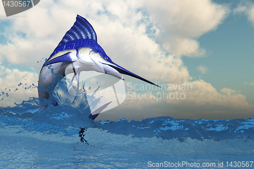 Image of Marlin