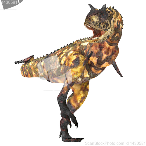 Image of Carnotaurus 02