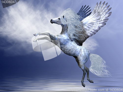 Image of WHITE PEGASUS