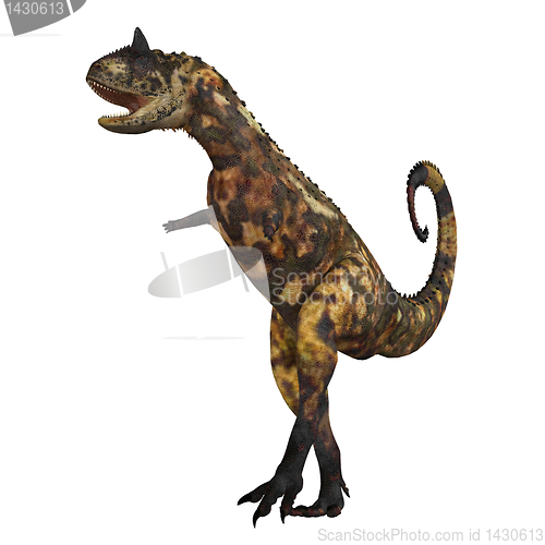 Image of Carnotaurus 01