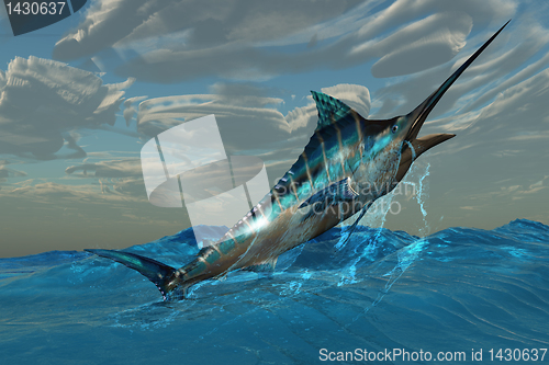 Image of Blue Marlin Jump