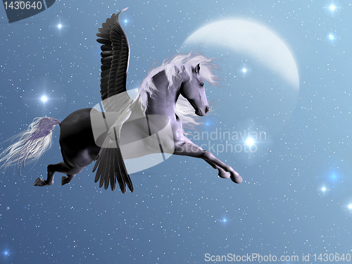 Image of Starlight Pegasus