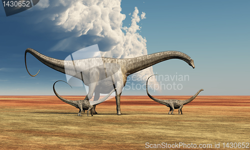 Image of MOTHER DINOSAUR