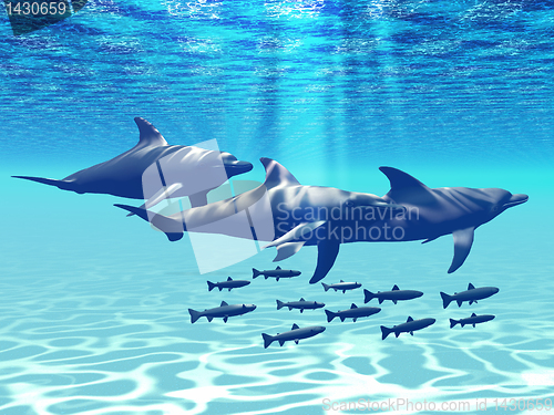 Image of DOLPHIN PLAY